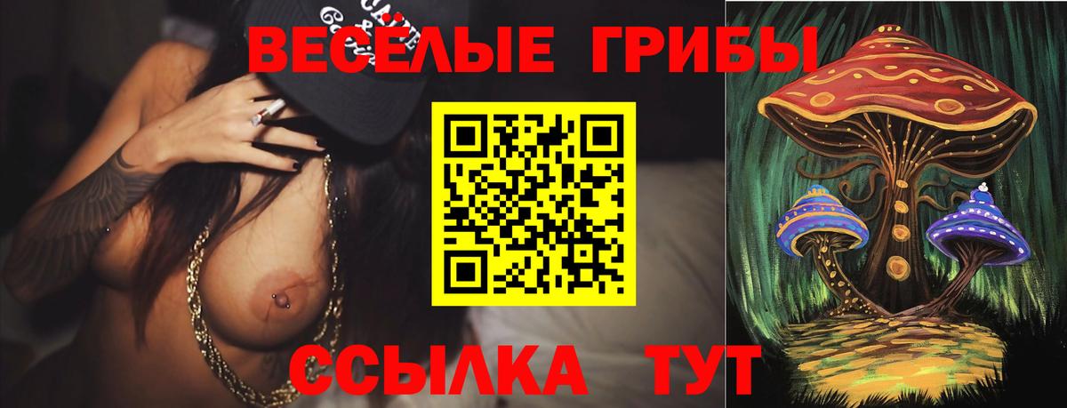 Псилоцибиновые грибы GOLDEN TEACHER  Галлюциногенные грибы мицелий  где купить наркоту  Вход с VPN  Рязань 